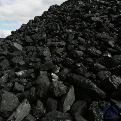Каменный уголь ГОСТ 25543-2013 купить в Луганск