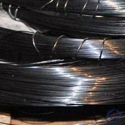 Проволока вольфрамовая 25,5 мкм ВМ купить в Луганск